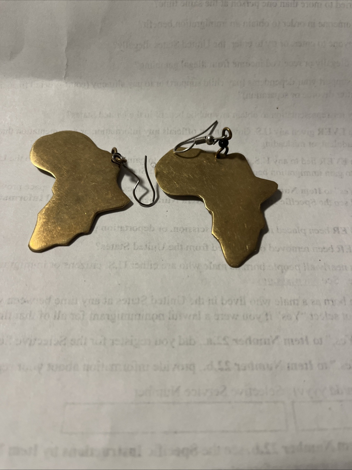 Africa Map Brass Dangle Earrings