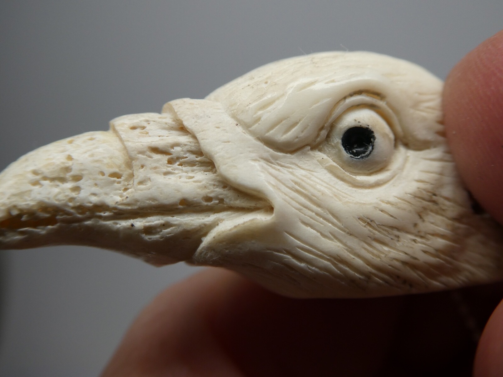 Hand Carved Realistic Crow Bird Head Shed Deer Antler SP Chain Pendant Necklace