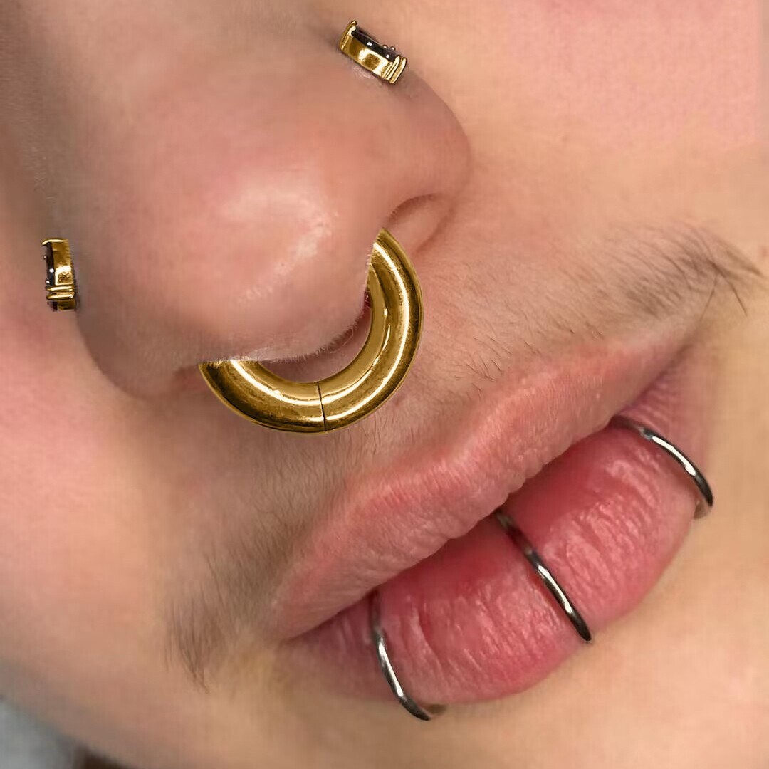 2G-12G Titanium Hinged Large Septum Ring Clicker Ear Gauge Hoop Earring Jewelry