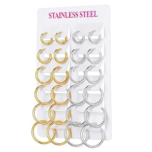Stainless Steel 12 Pairs 14K Gold and Silver Plated 12 Pairs Gold and Silver