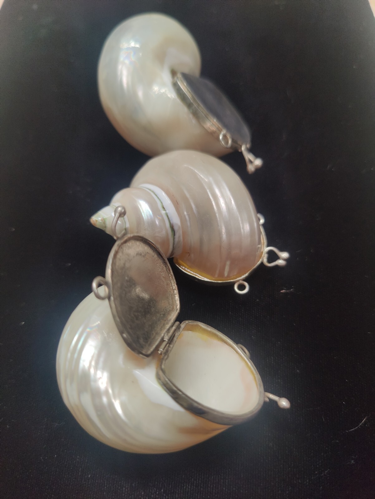Natural 🐚 Sea Shell Locket With Silver Latch