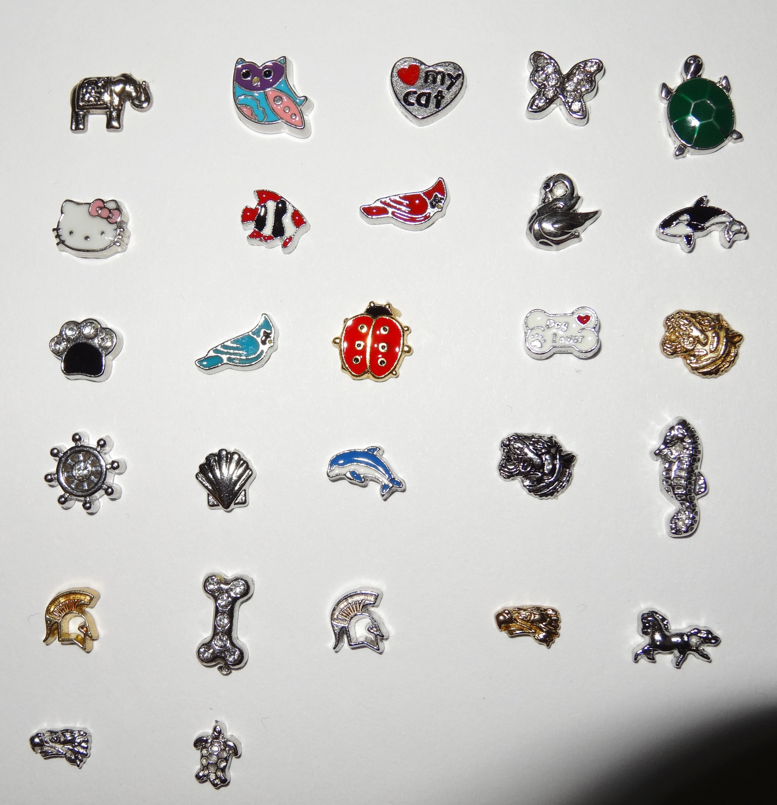 Dog Bird Mascot Pet Animal Floating Charms Fit Most Living Lockets