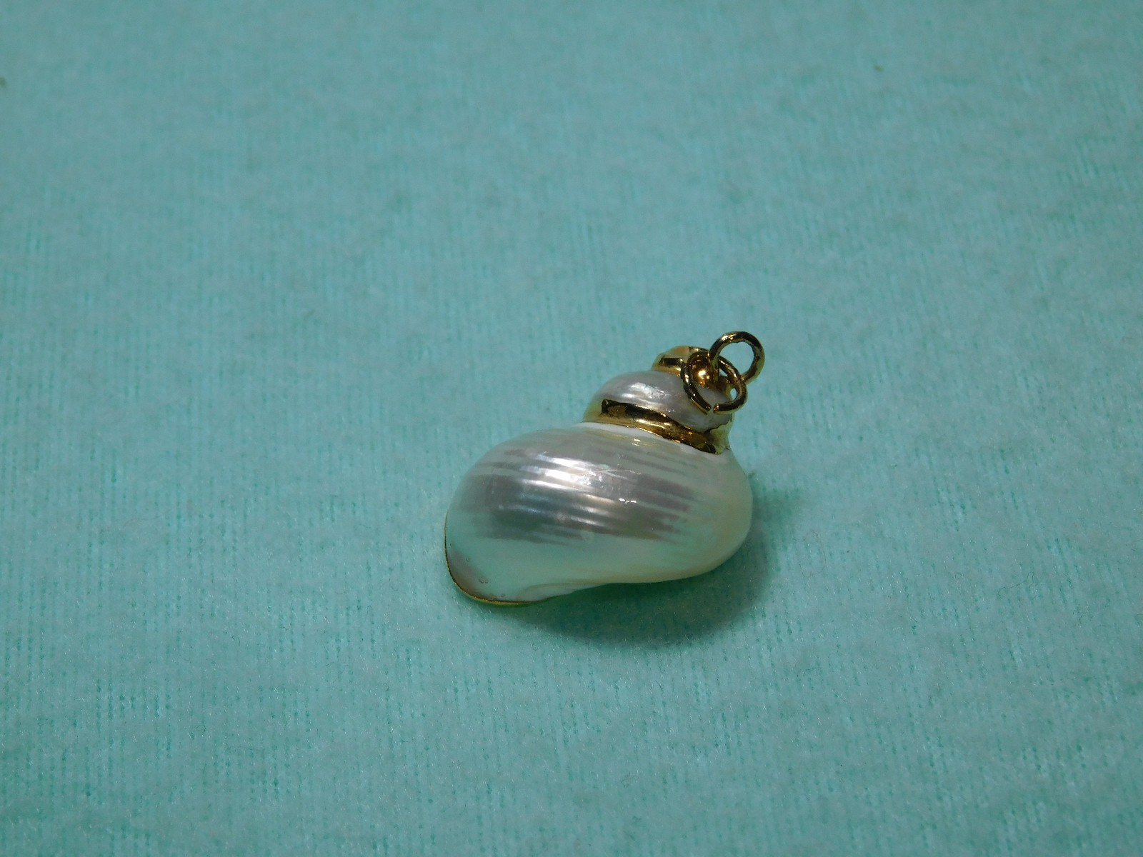 Vintage 2″ Snail Shell With Gold Color Trim Pendant in Very Good Cond.