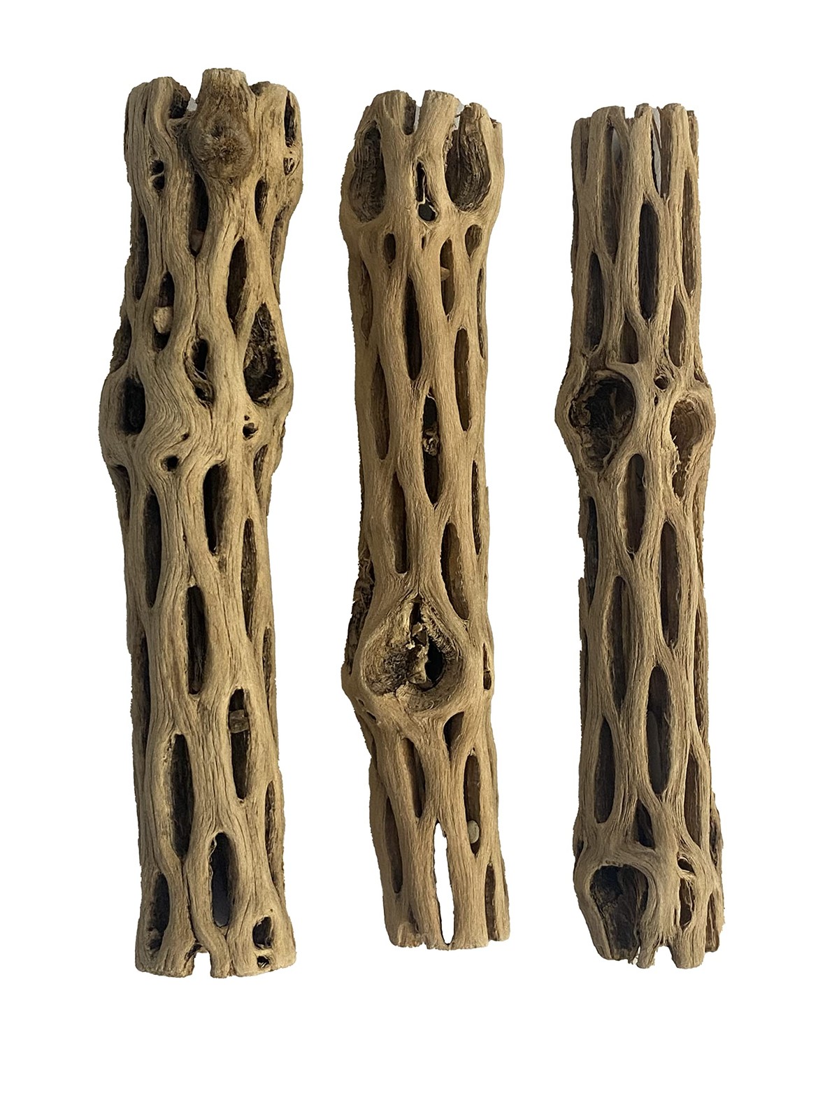 Awesome Aquatic Natural Cholla/Choya Wood 3 Pieces 6” for Shrimp 3 pc 6 inch