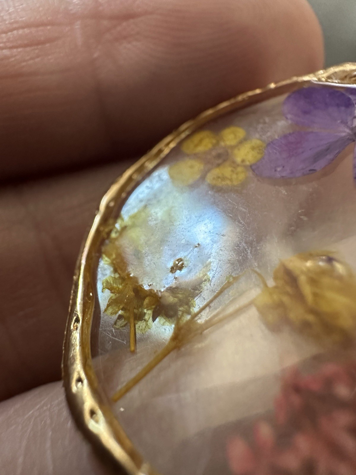 Real Pressed Flower Botanical Dangle Earrings Clear Resin Gold Plated