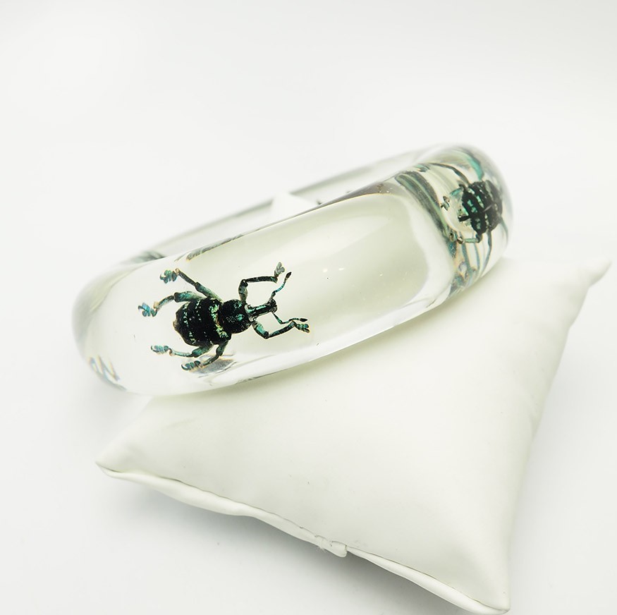 Kolos Designs clear transparent lucite bracelet with real weevil beetles
