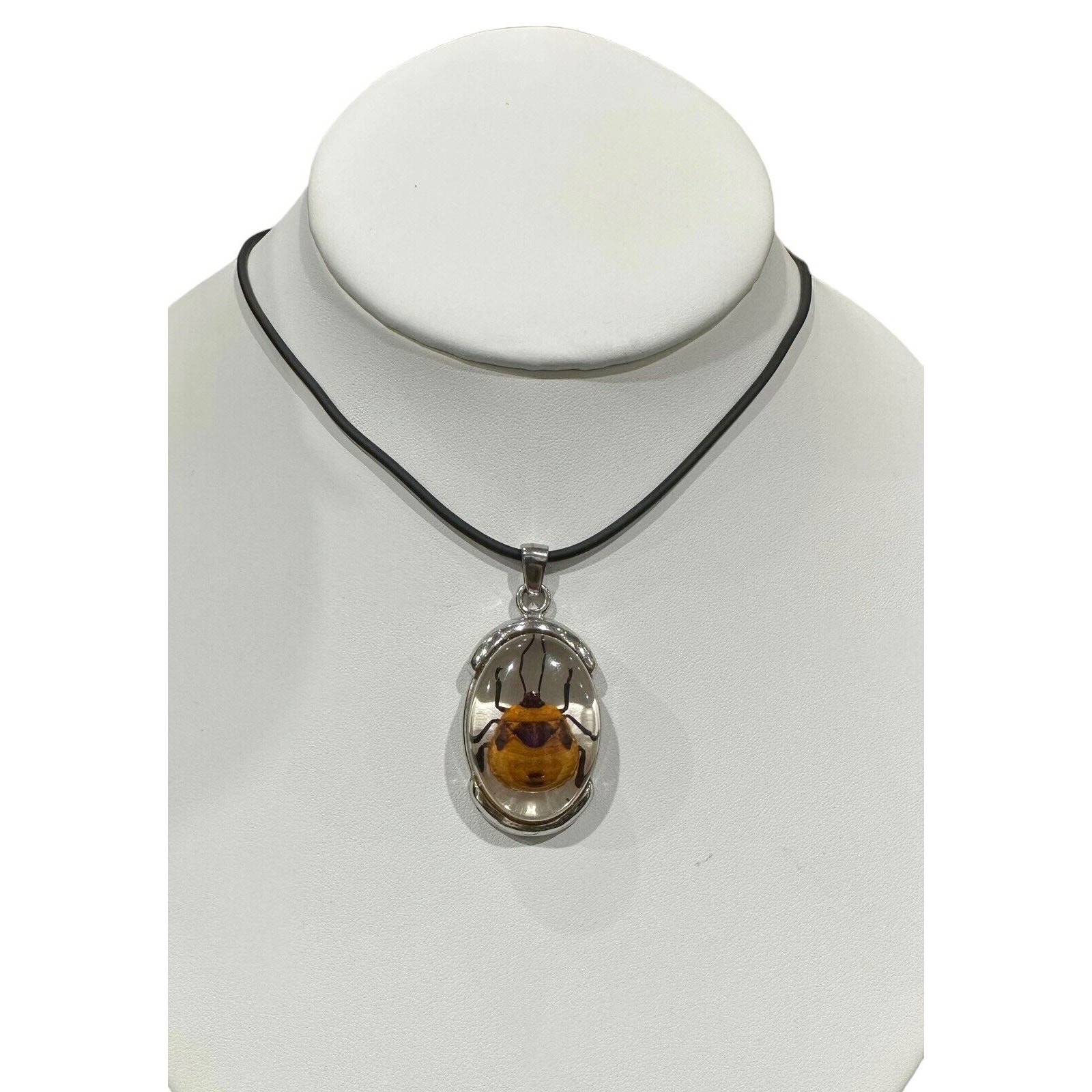 Real Beetle in Lucite With Silver Metal Findings Fancy Necklace Black Cord EUC