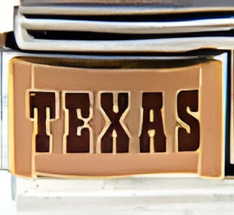 Texas Western Sign Enamel 9mm Italian Charm Bracelet Link Cowboy State Travel
