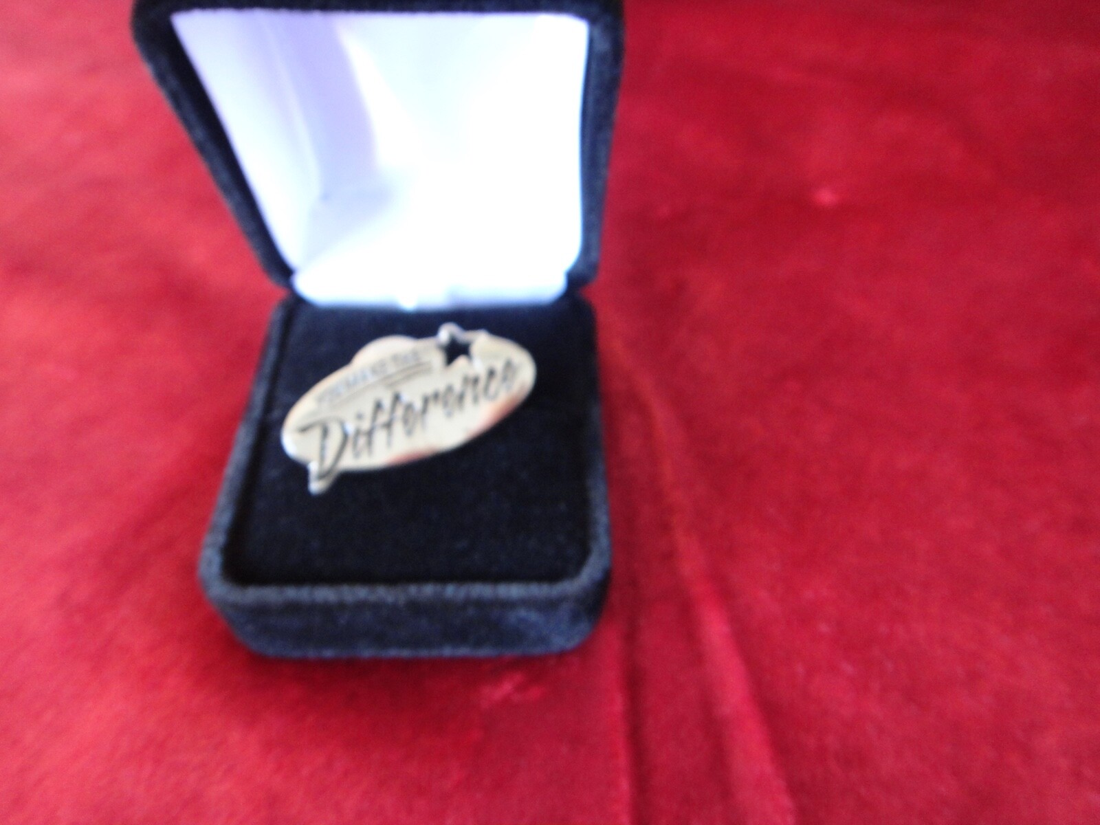 You Make the Difference Star design enamel pin collectable 2001 Memorabilia RARE