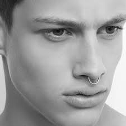 Titanium Seamless Segment Clicker Septum Nose Ring Piercing Hoop Hinged Sleepers