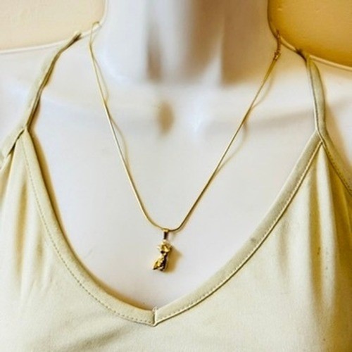 Dalmata D Women’s Torso Charm Necklace Fashion Gold Gothic Punk Rope Chain 21″