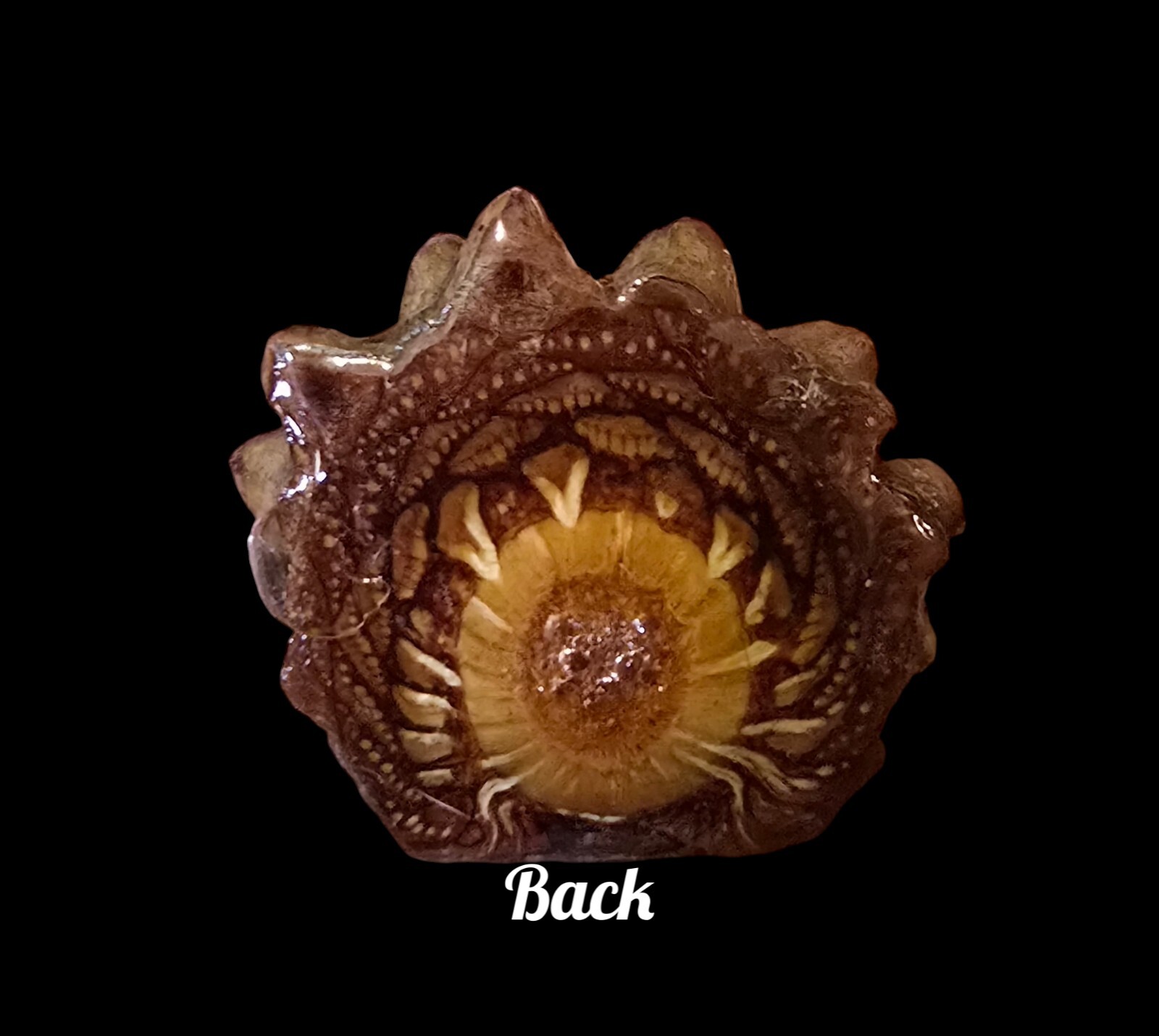 Knobcone (THIRD EYE) PENDANT