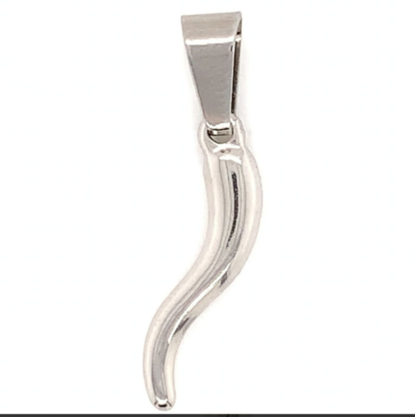Small Stainless Steel Italian Horn Pendant on a stainless steel loop chain
