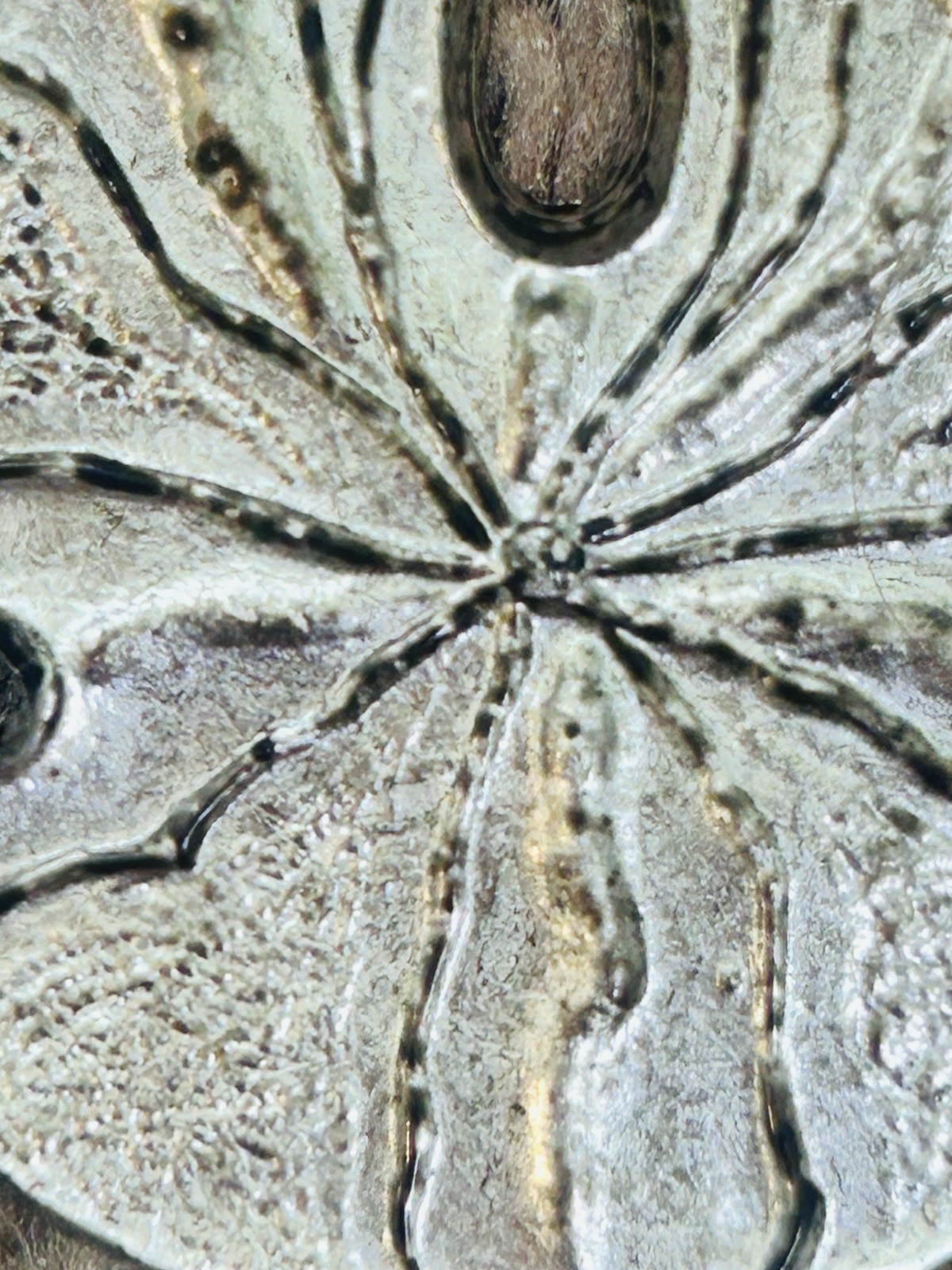 Silver Tone Sand Dollar pendant Beach Ocean Shell Coastal