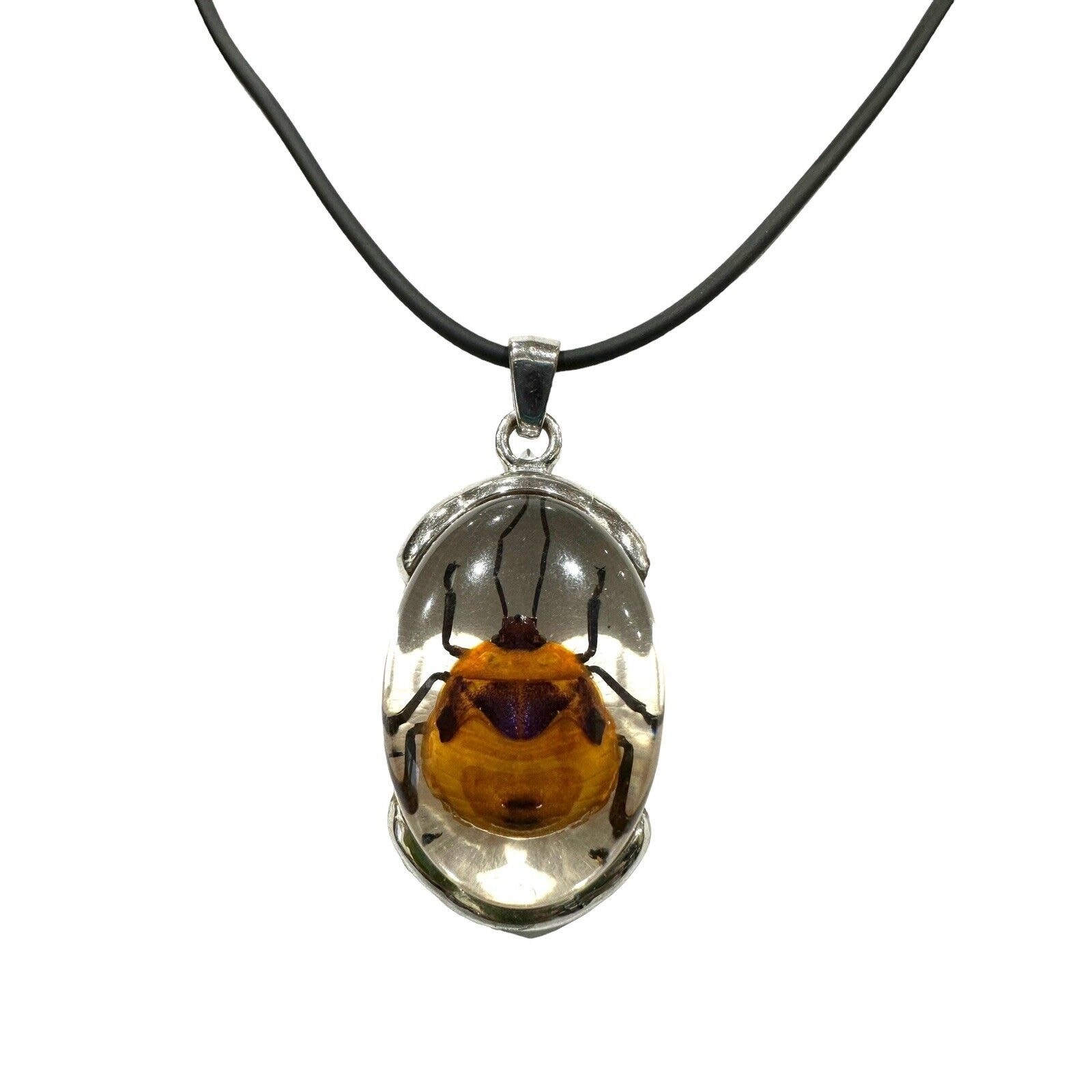 Real Beetle in Lucite With Silver Metal Findings Fancy Necklace Black Cord EUC