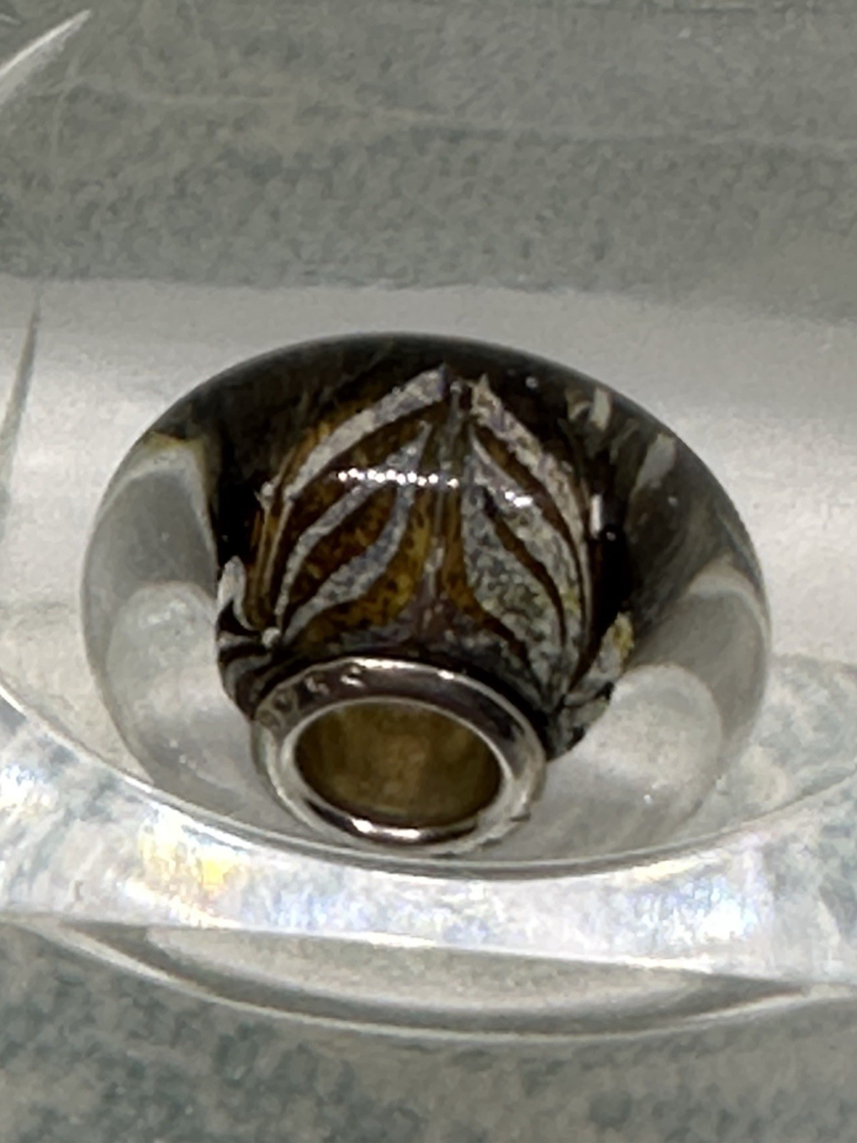 Authentic Trollbeads Roots of Wisdom TGLBE-10442, New & Retired 2021