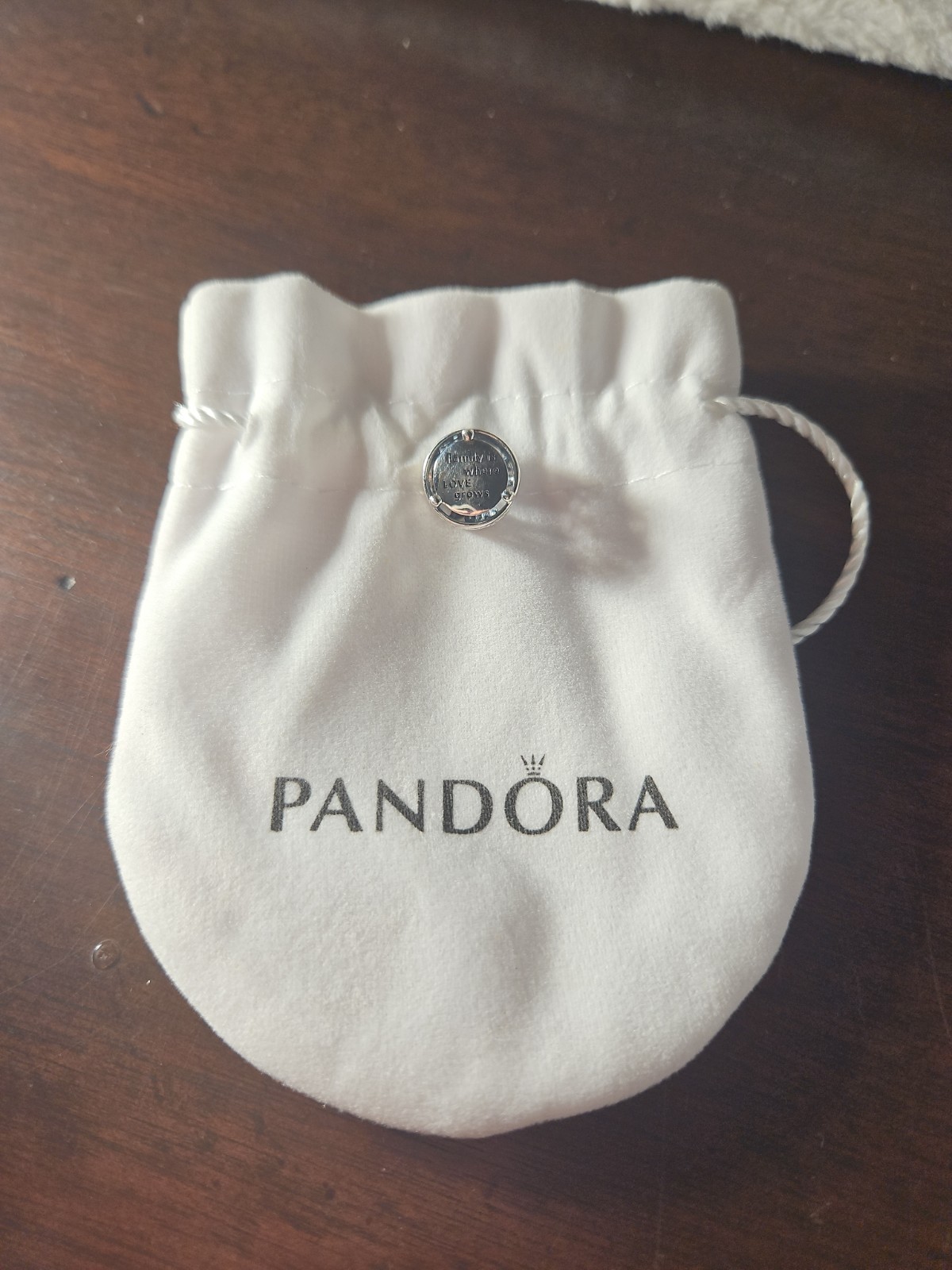 Pandora “Family Is Where Love Grows” Charm