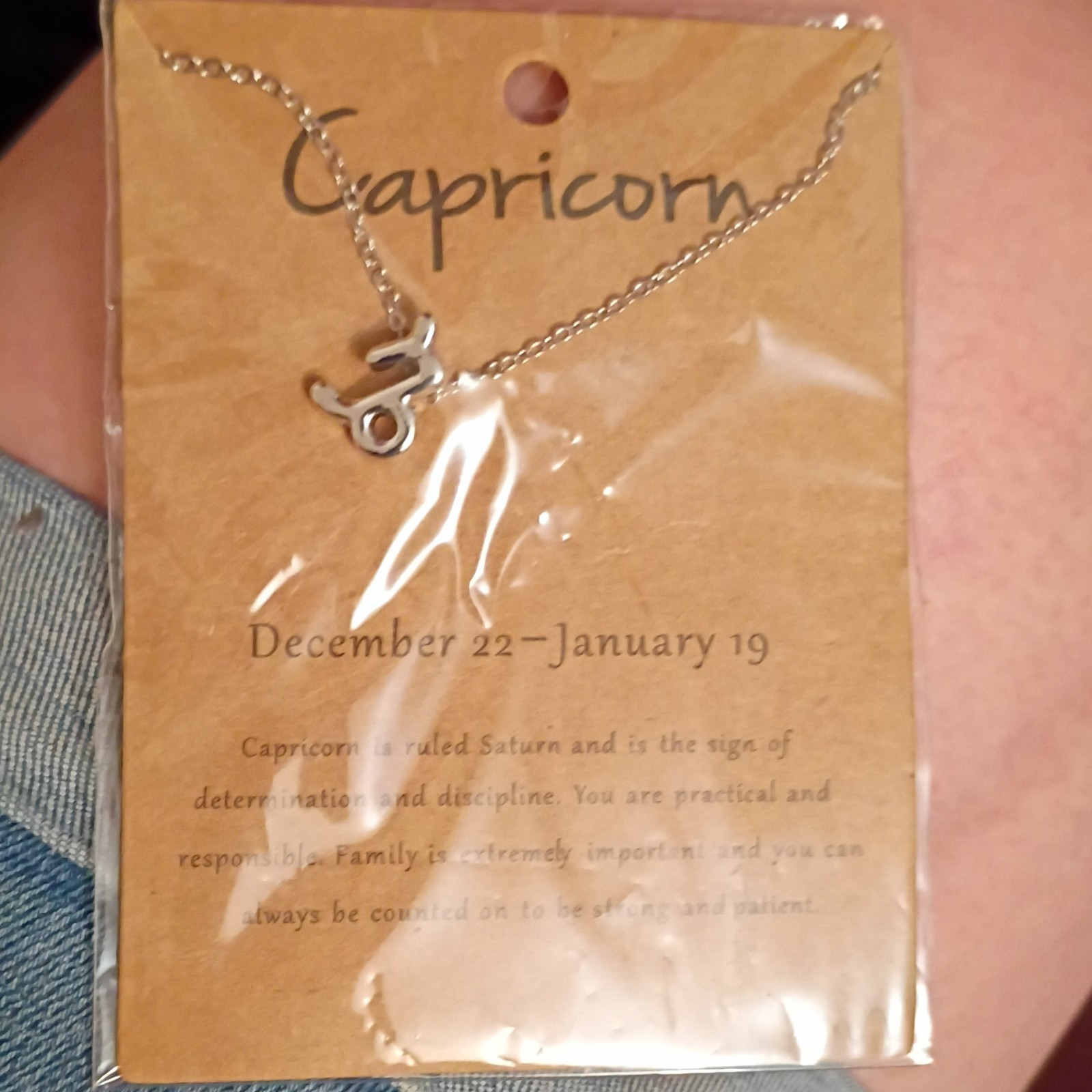 Capricorn Zodiac Symbol Charm Pendant Necklace Silver Tone Metal Cable Chain