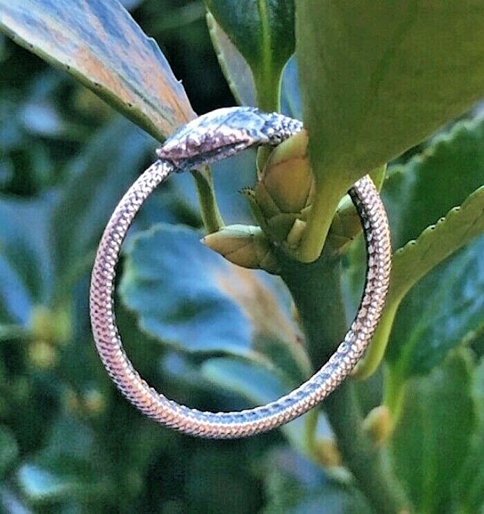 925 Sterling Silver Ouroboros Snake Ring Oxidized Serpent Gothic Ring Sz 8