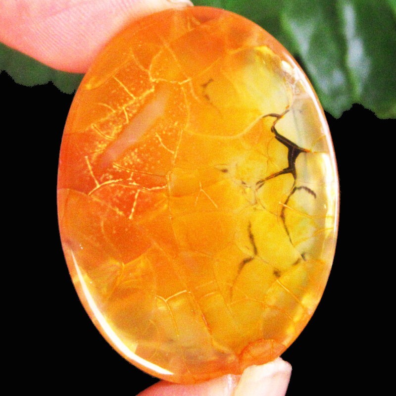 39x29x7mm Yellow Black Dragon Veins Agate Oval Cab Cabochon D93696
