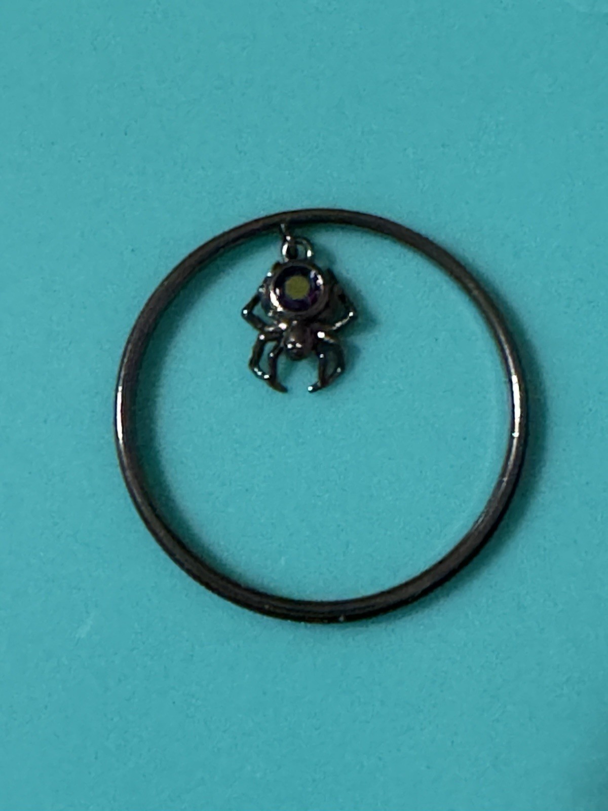 Origami Owl Large Spider Web Clear Plate & Large Dangling Spider Window Plate