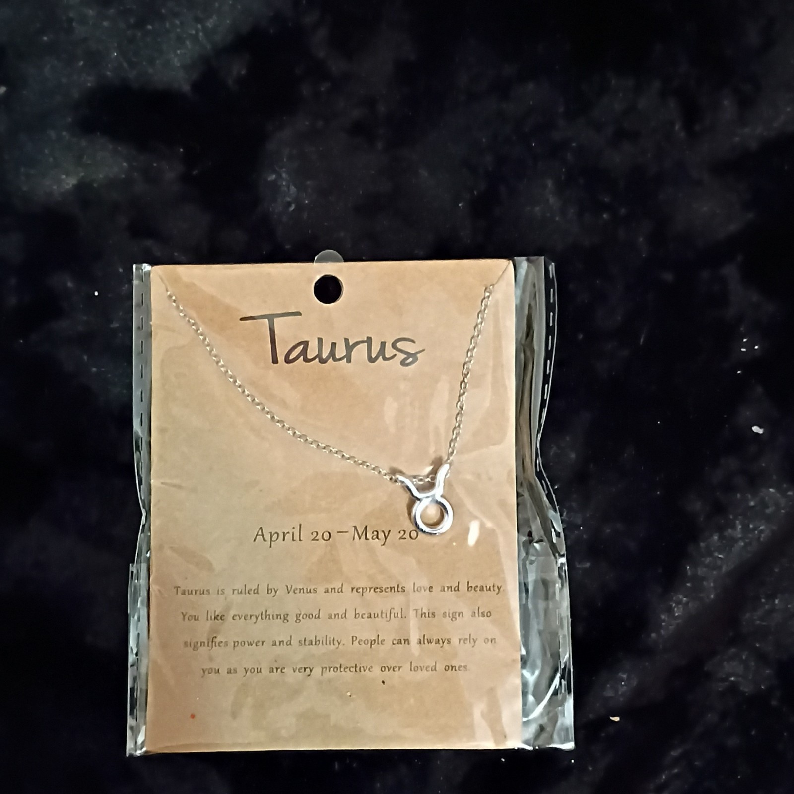 Taurus Zodiac Symbol Circle Charm Pendant Necklace Silver Tone Metal Cable Chain
