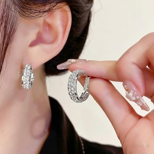 Lymphatic Drainage Slimming Hoop Earrings with Cubic Zirconia – Jewelry Gifts fo