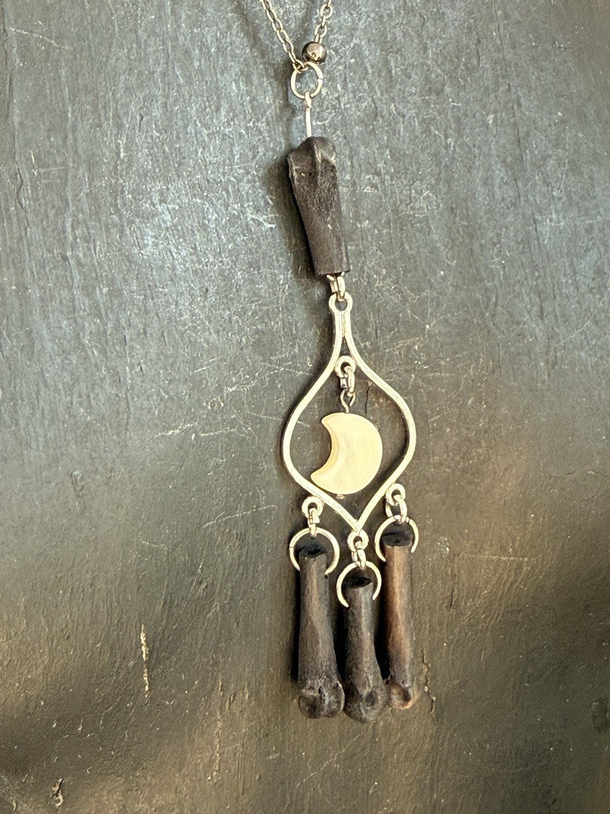 Abalone moon coyote bone necklace pendant oddities jewelry boho layering