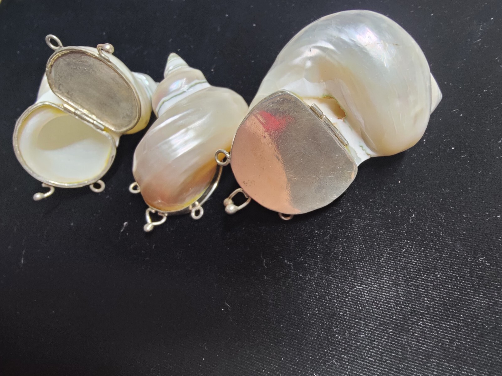 Natural 🐚 Sea Shell Locket With Silver Latch