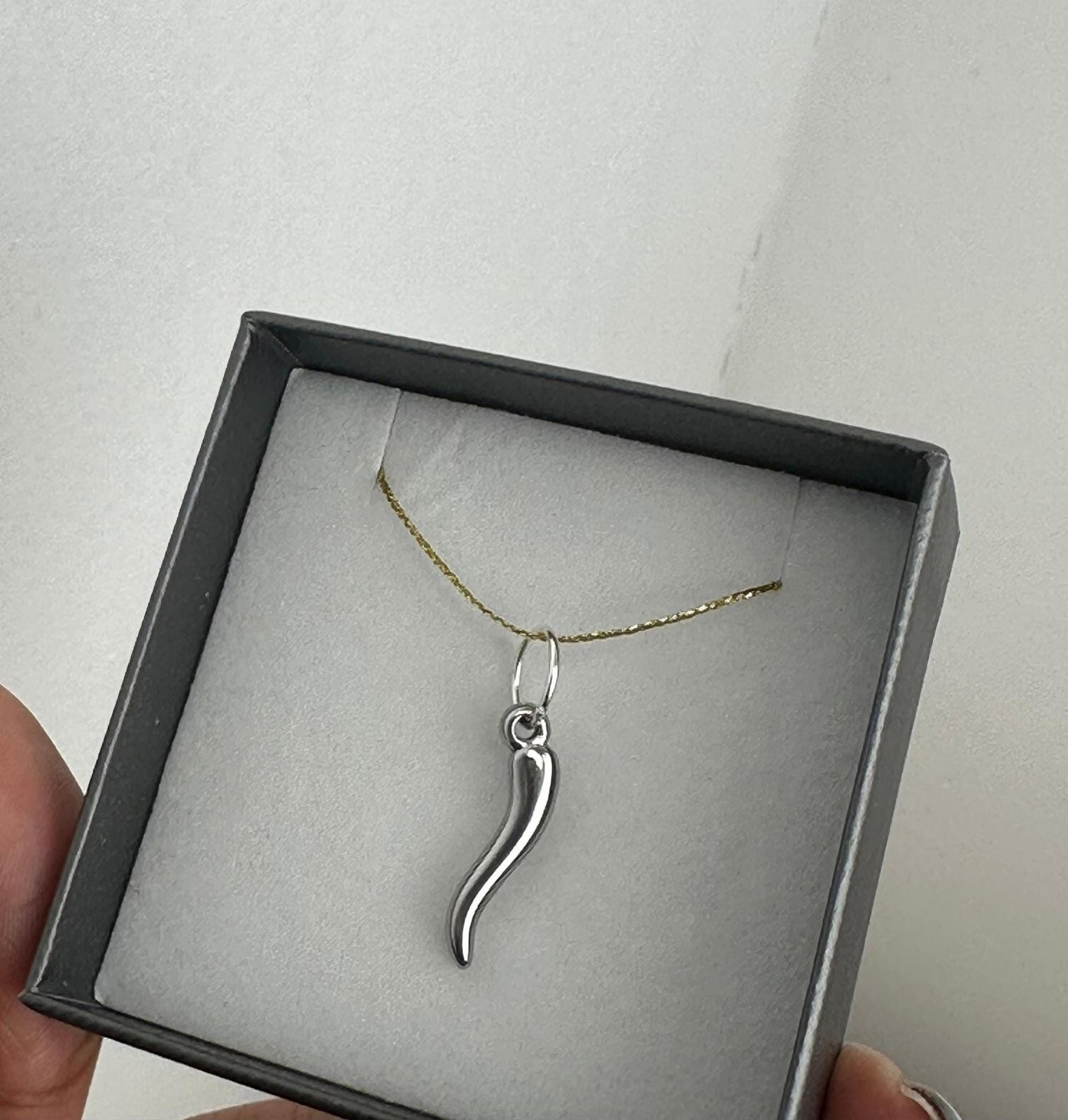 Silver Italian Horn Charm, Good Luck, Cornetto Pendant, Stainless Steel Necklace