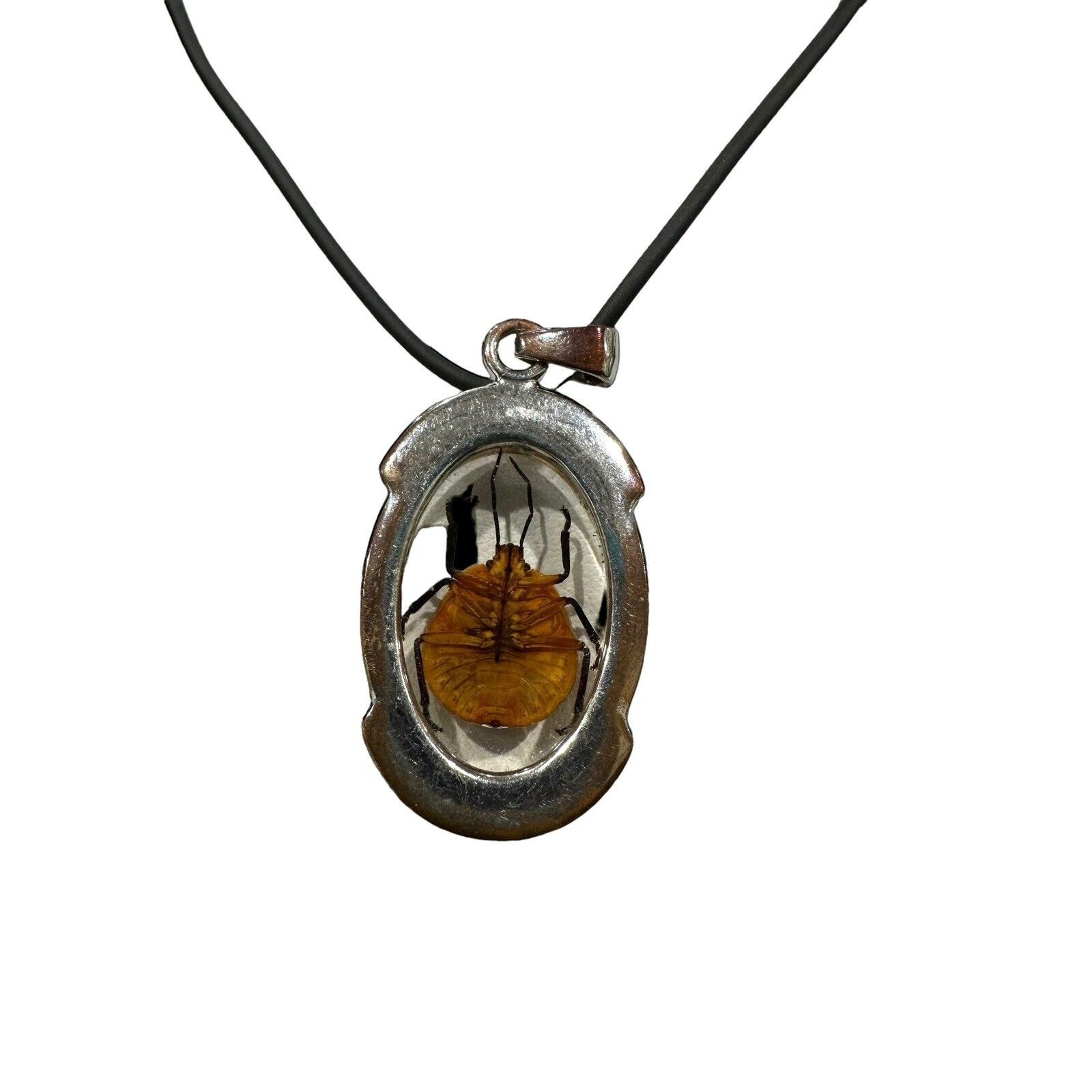 Real Beetle in Lucite With Silver Metal Findings Fancy Necklace Black Cord EUC