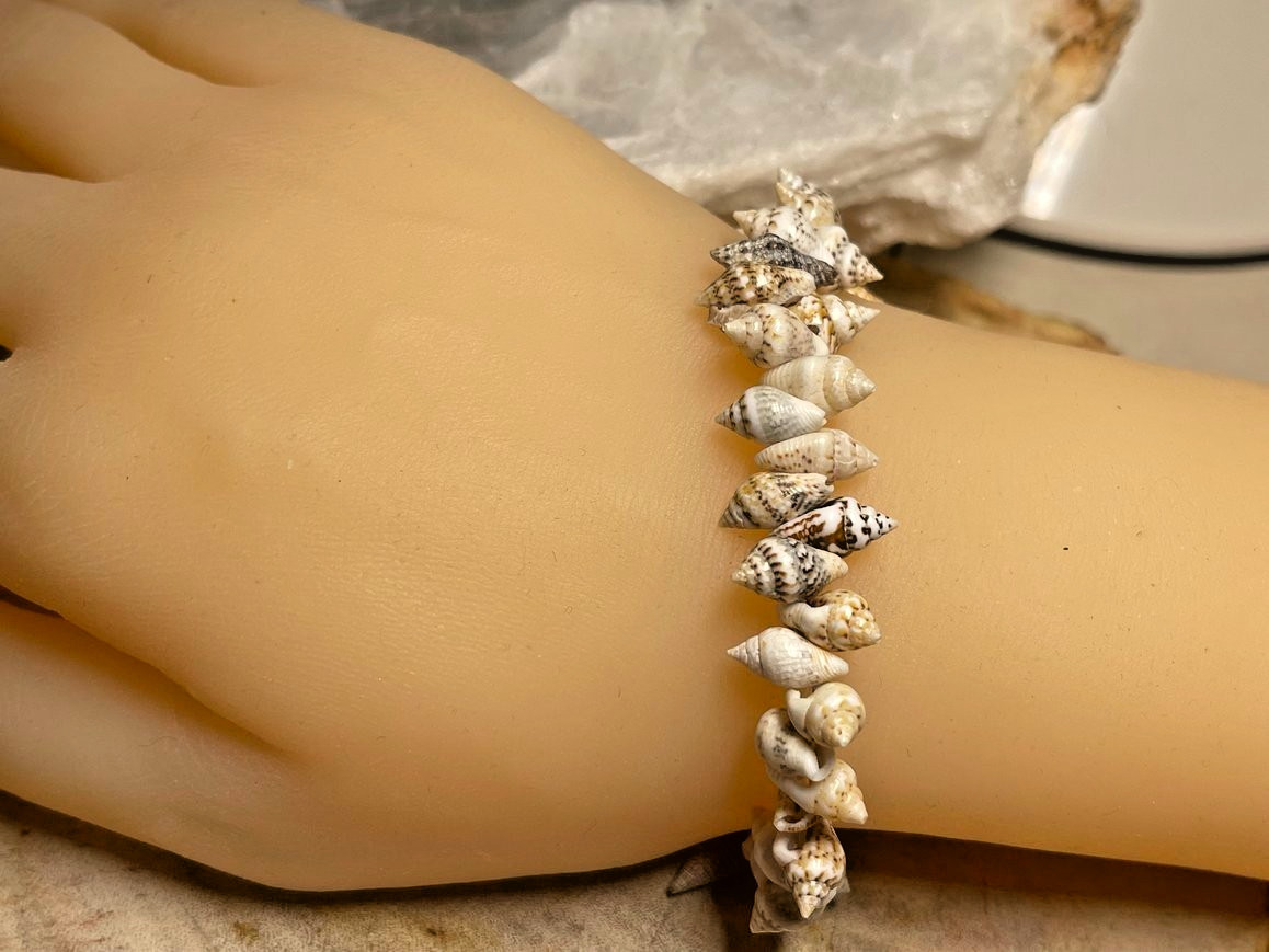 Surfer Natural Spiral Shell Unisex Stretch Beaded Bracelet Conch 7″
