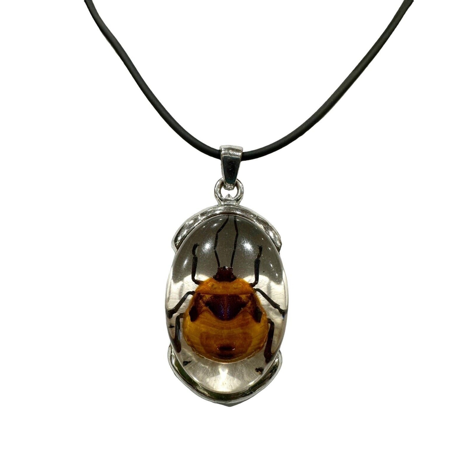 Real Beetle in Lucite With Silver Metal Findings Fancy Necklace Black Cord EUC
