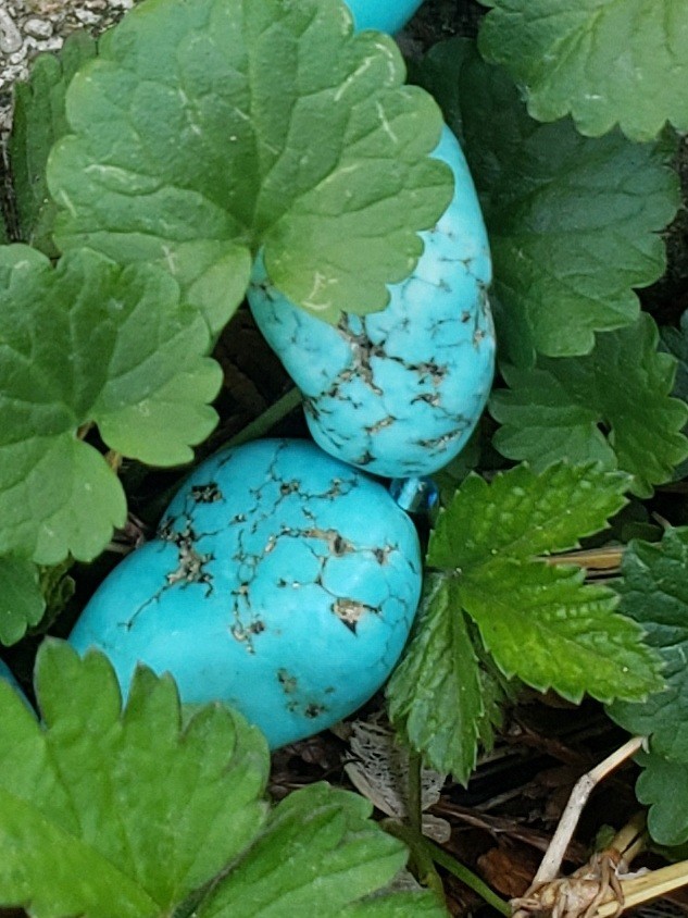Robins Egg Blue Turquoise Beaded Nugget Vintage Lobster Clasp Necklace