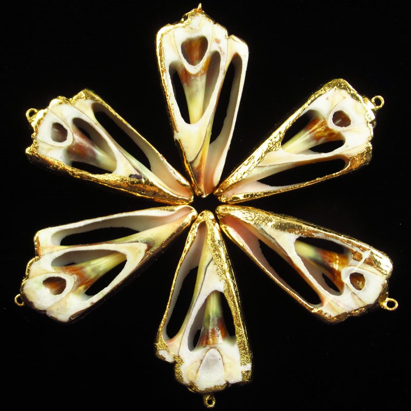 6Pcs 55x24x8mm Gold Plated Natural Seashells Crafts Pendant Bead BK122
