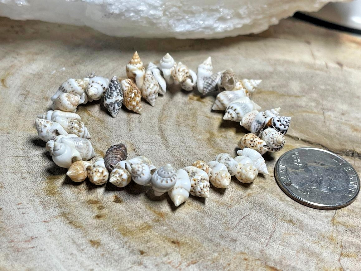 Surfer Natural Spiral Shell Unisex Stretch Beaded Bracelet Conch 7″