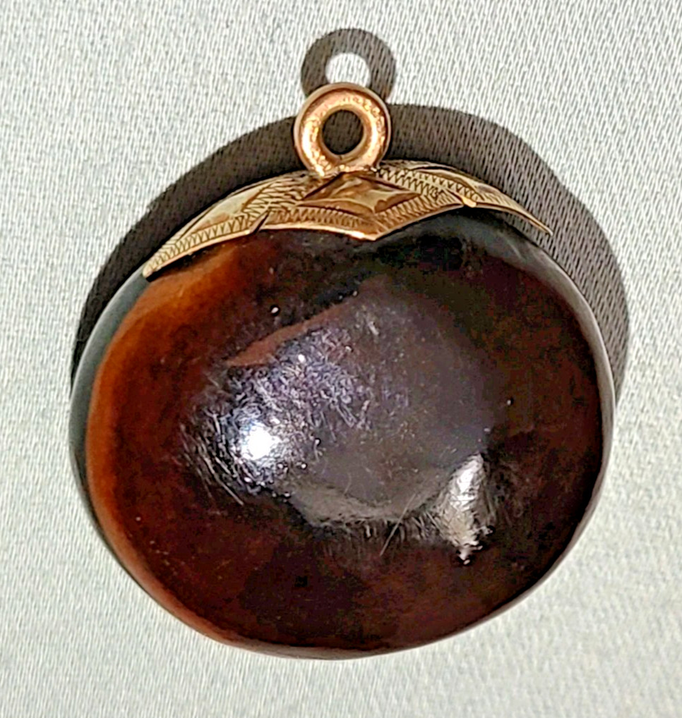 Antique Victorian polished mucuna / sea bean pendant, gold tone bail