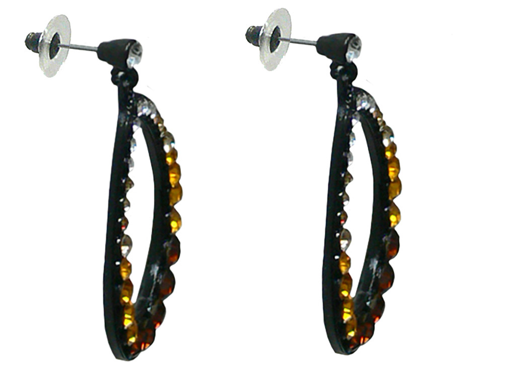 Bella Dangle Earrings in a Loop Hoop with Sparkling Stones CE89010-610