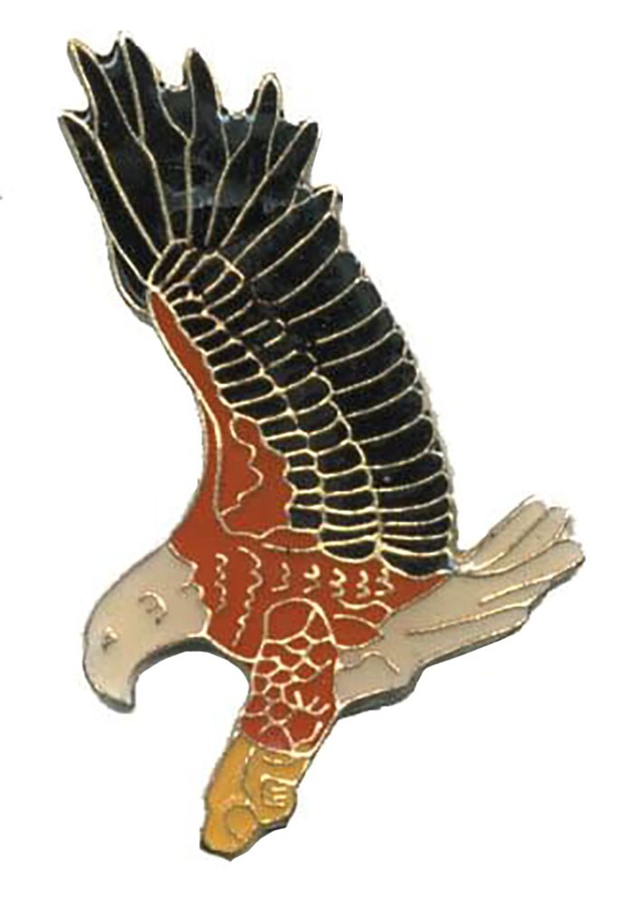 Black, Red & White Flying Eagle Bike Motorcycle Hat Cap Lapel Pin HP18