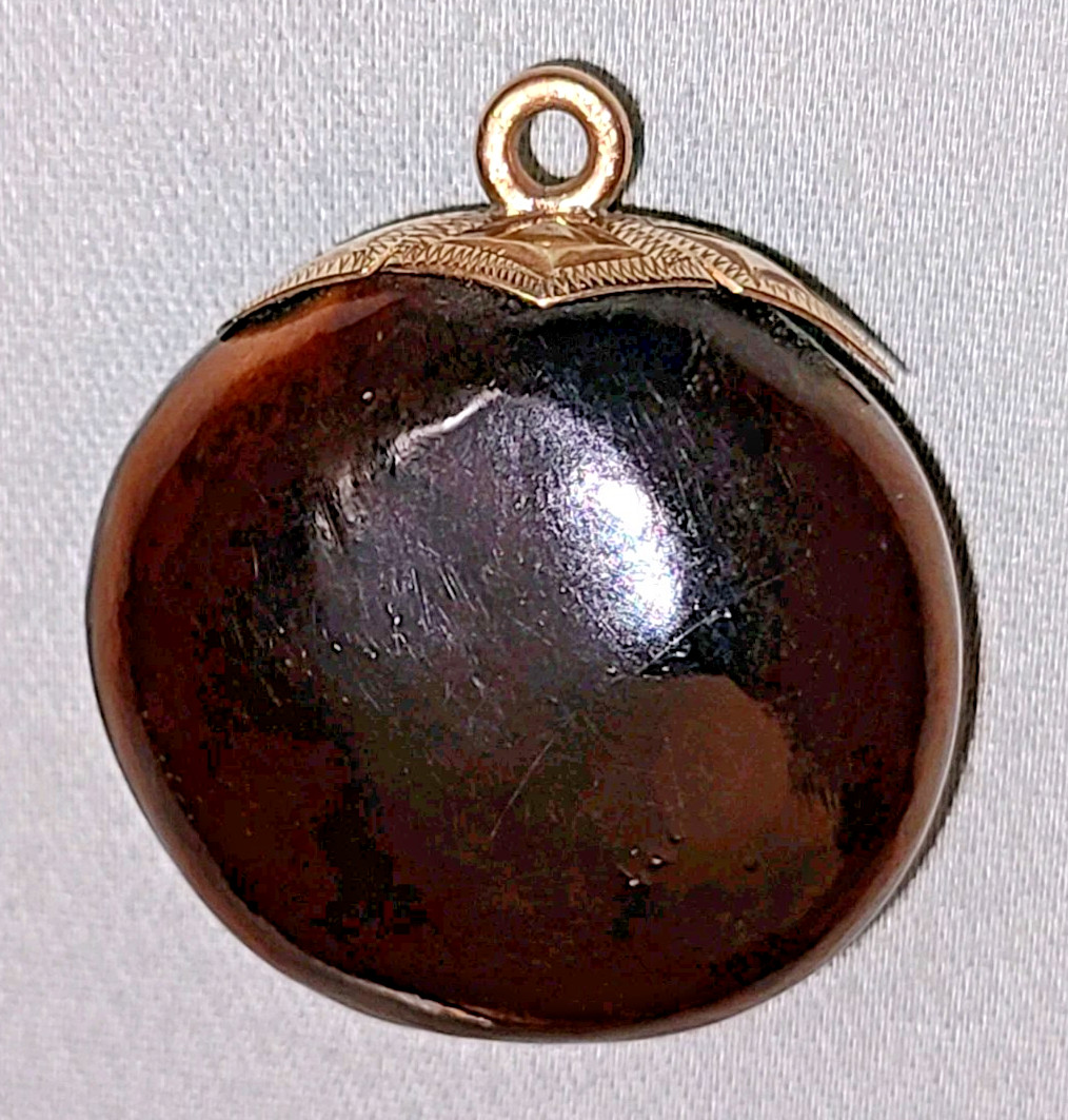 Antique Victorian polished mucuna / sea bean pendant, gold tone bail