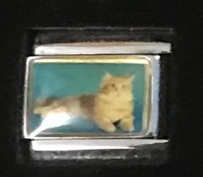 Cat Italian Charm Enamel Link 9MM K47