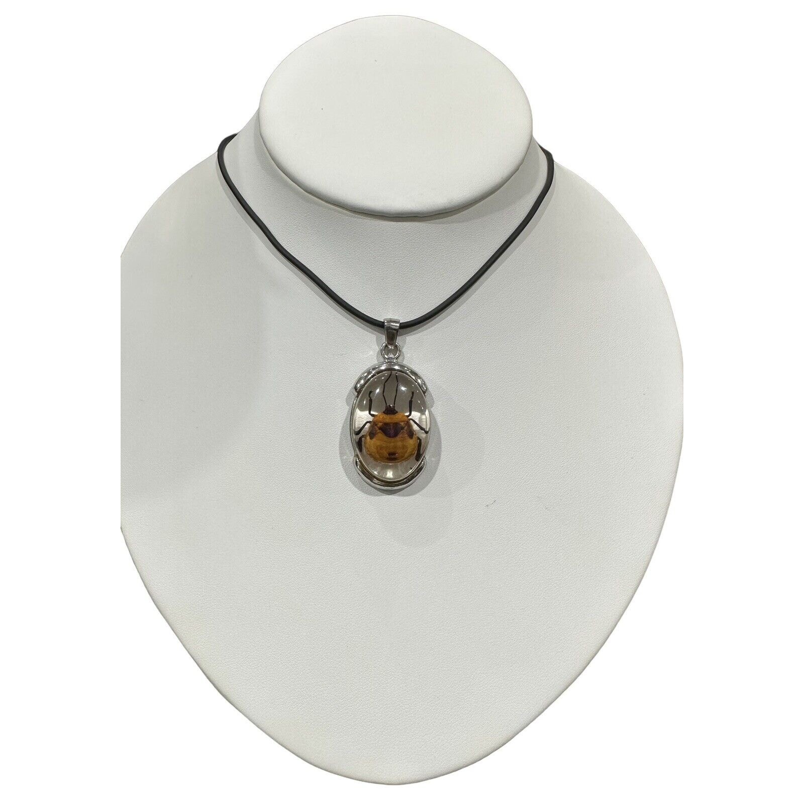 Real Beetle in Lucite With Silver Metal Findings Fancy Necklace Black Cord EUC