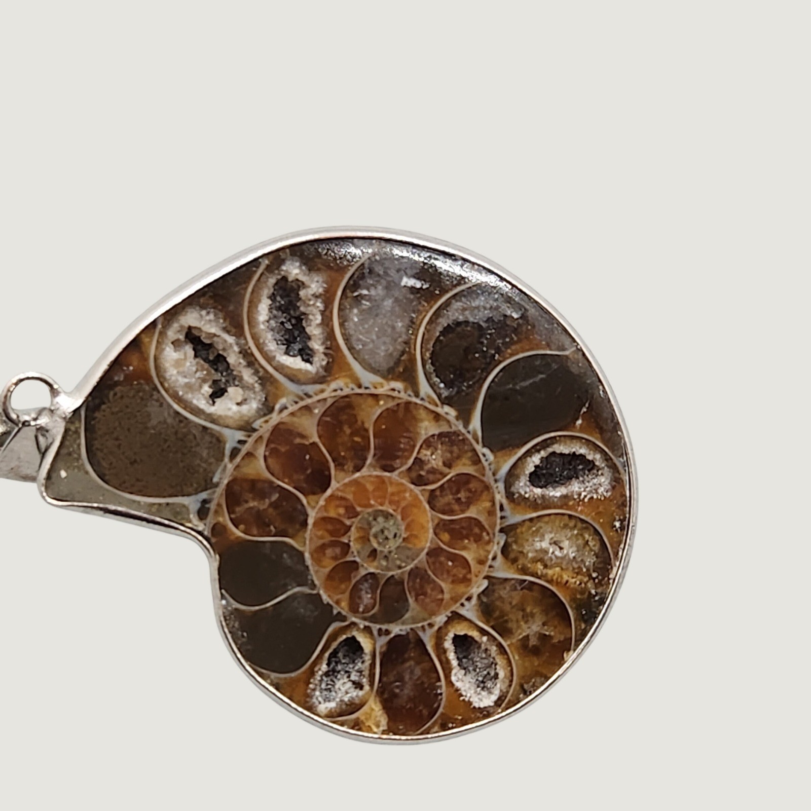 Natural Ammonite Fossil Pendant 1.5″ Polished Iridescent Shell Statement Jewelry