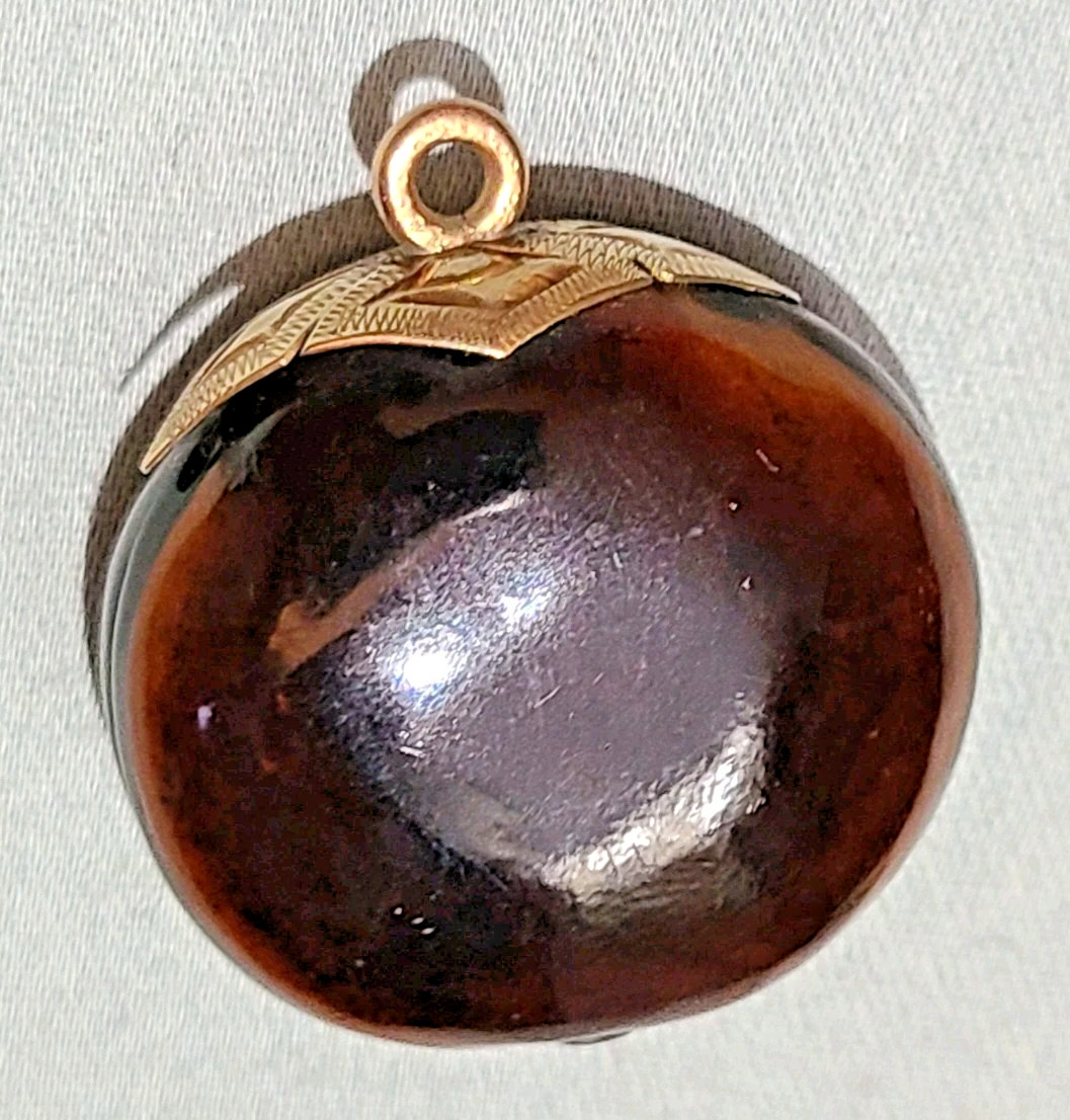 Antique Victorian polished mucuna / sea bean pendant, gold tone bail
