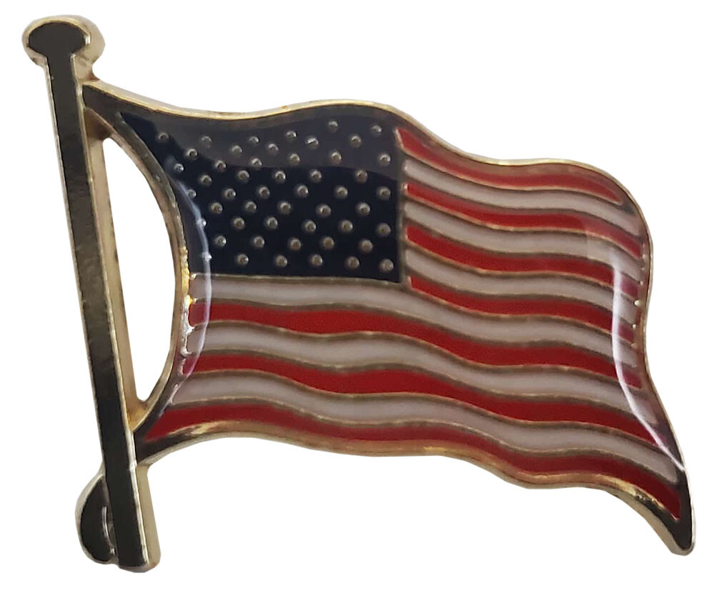 Pack of 24 USA Waving Flag V Motorcycle Hat Cap Lapel Pin