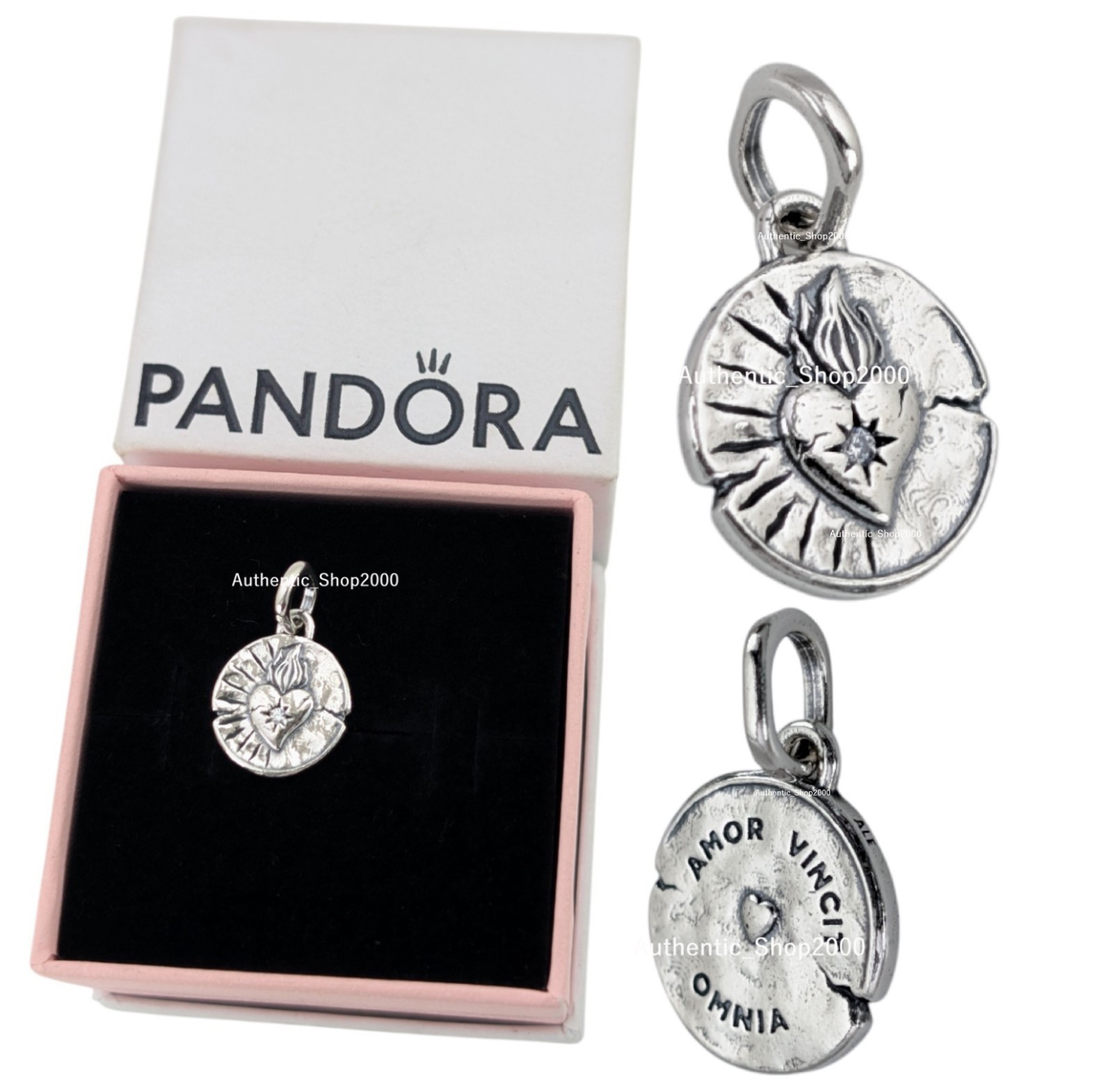 NEW Authentic PANDORA 925 Love Conquers All Heart Medallion Coin Charm 793975C01
