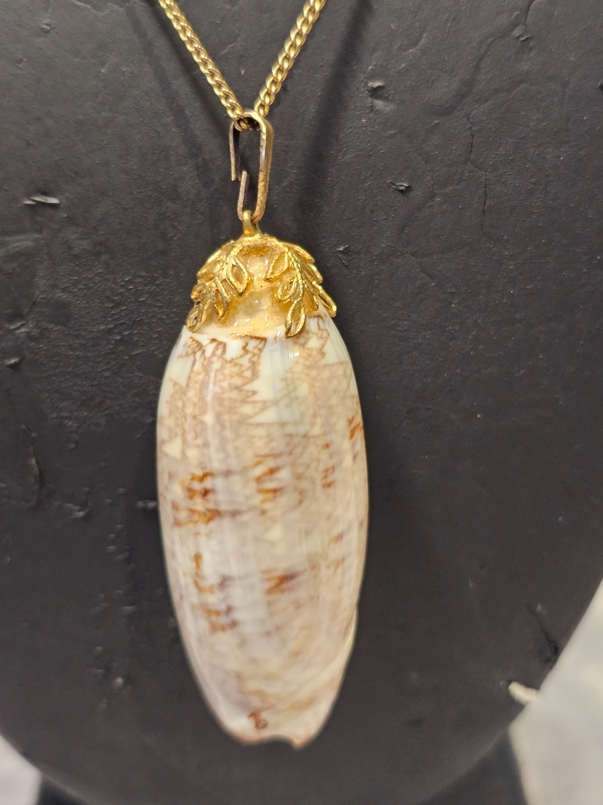 Natural Seashell Pendant Necklace – Gold‑Tone Chain, Coastal Boho Beach Jewelry