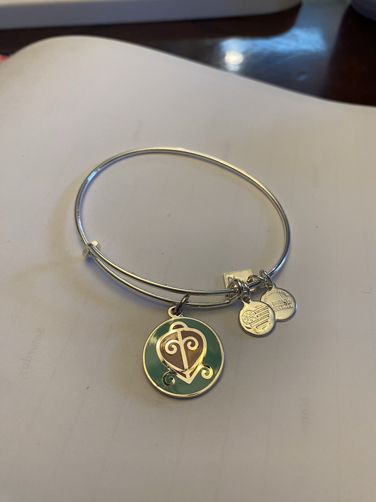 Alex & Ani The Way Home Metal Silver Charm Bangle Bracelet