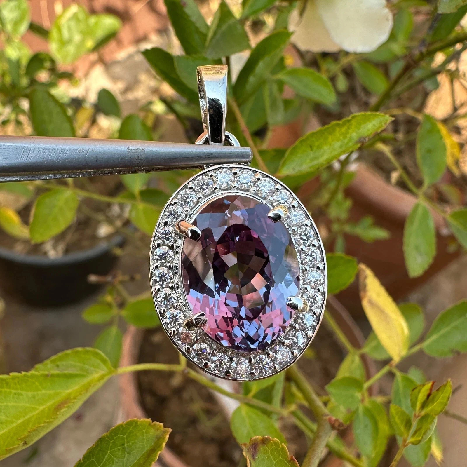 23 Ct Natural Alexandrite Pendant – Certified Color-Change Gem in Silver 925
