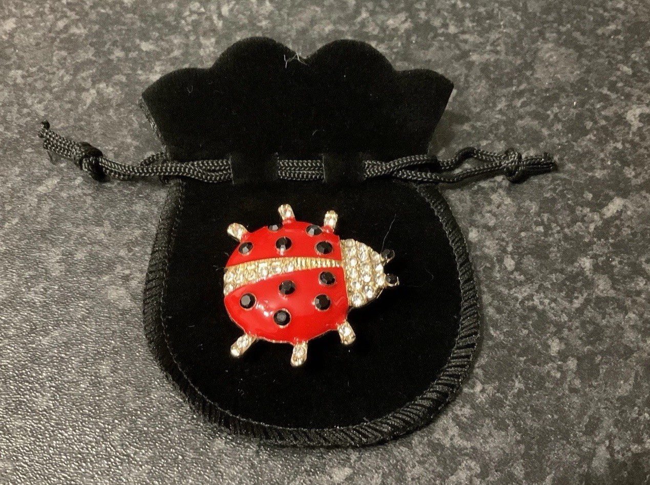 Ladybird Insect Enamel And Crystal Brooch, Gold Tone 3.5cm, Gift